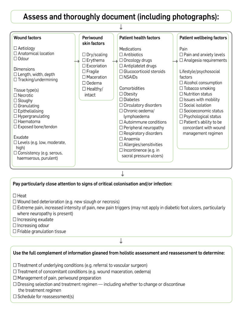 Approaches To Comprehensive Wound Assessment